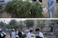 谋福利 工会三产积极为职工购置大葱