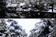 白雪掩映下的千医美景（二）