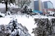 白雪掩映下的千医美景（一）