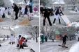 瑞雪降吉兆 清晨除雪忙（组图二）
