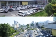 免费停车 井然有序