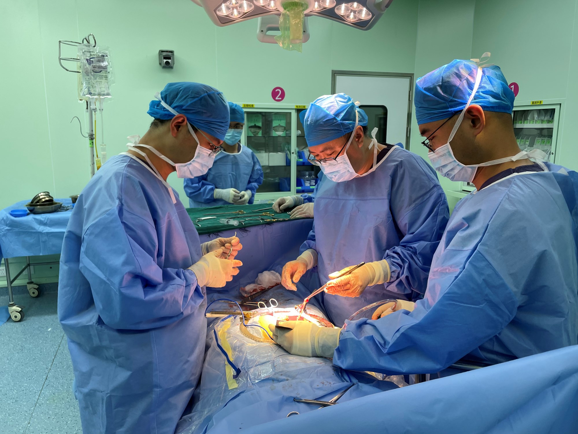 极速48小时 ， 我院完成4位供体器官捐献和12例器官移植手术！