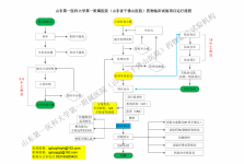 山东第一医科大学第一附属医院（山东省千佛山医院）药物临床试验项目运行流程