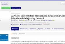 输血科在Autophagy杂志发表关于线粒体自噬调节心脏功能的评论文章