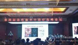 第四届山东省急性脑卒中治疗高峰论坛日前召开