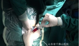 血液科成功为省内年龄最小供者进行干细胞采集