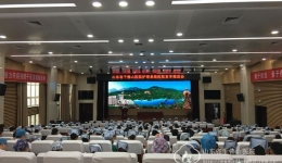 护理部召开护理系统等级医院复审推进会