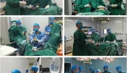 泌尿外科承办省第二届泌尿外科微创学术会议并进行多种手术演示