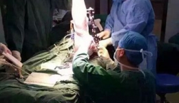 人文千医  医术精湛