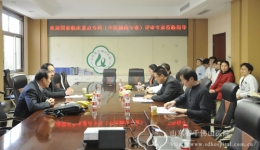 中医脑病国家临床重点专科专家组来我院检查工作