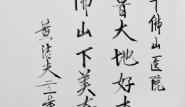卫生部黄洁夫副部长来我院视察组图一