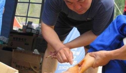 2008年6月16日来自第四批医疗队垭头坪组图（02）