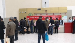 神经内科组织“世界卒中日”义诊咨询活动