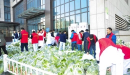 医院组织职工进行“爱心黄金白菜”义卖活动