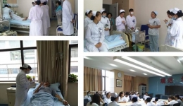 科学带教 人文带教