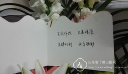 生命常青，感动常在
