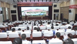 肾内科承办省医师协会血液净化血管通路医师分会学术年会