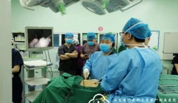 胸外二科组织第一届微创手术高级研讨班，手术直播演示腔镜下肺叶切除术