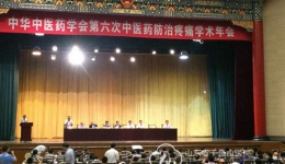 2015中华中医药学会第六次中医药防治疼痛学术年会暨中医药疼痛学诊疗技术规范化国家级继续教育学习班召开
