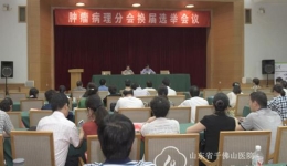 病理科孙青主任当选山东省抗癌协会肿瘤病理分会第三届委员会主任委员