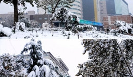 白雪掩映下的千医美景（一）