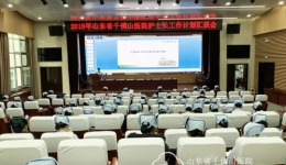 护理部举办2018年护士长工作计划汇报会