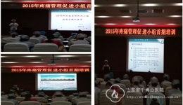 疼痛小组组织2015年首期培训