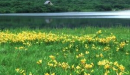 散文----春天