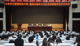 山东省中医微创治疗椎-基底动脉综合征及颈肩腰腿疼技术培训班成功举办