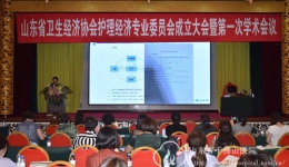 山东省卫生经济协会护理经济专业委员会成立大会暨第一次学术会议成功召开