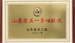 医院被授予山东省五一劳动奖状
