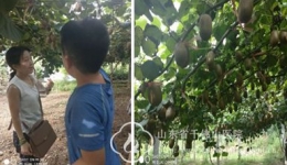 关怀护士 凝心聚力