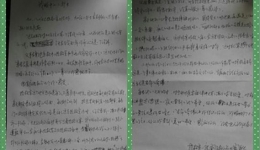 我眼中的“小”护士——致急诊科