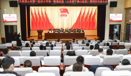 共青团山东第一医科大学第一附属医院（山东省千佛山医院）第四次代表大会胜利召开