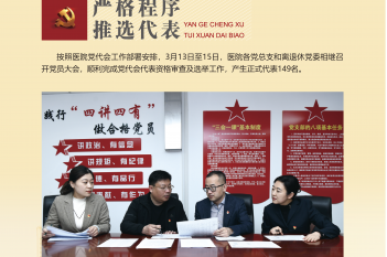 严格程序 推选代表
