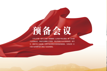 预备会议