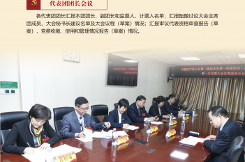 代表团团长会议