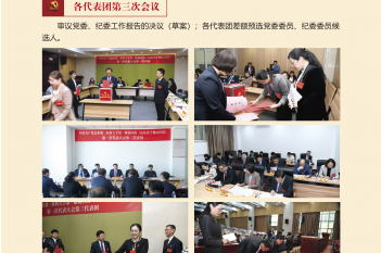 各代表团第三次会议