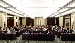 闫莉当选山东省医师协会宫腔镜医师分会第三届委员会主任委员