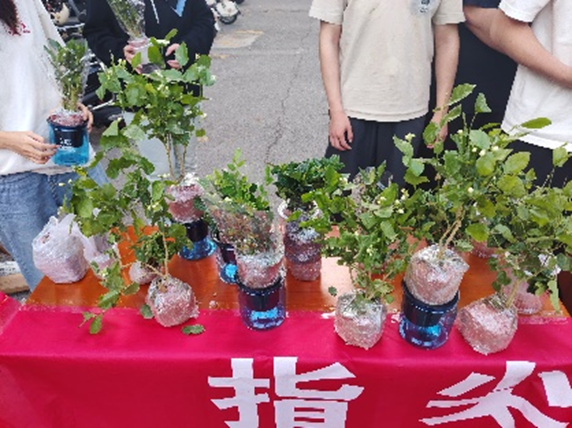 “指尖植愈，静待花开”： 以绿植为媒，共赴一场生命与心灵的双向奔赴